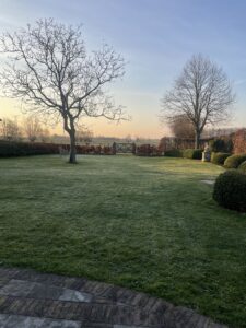 IMG_6644